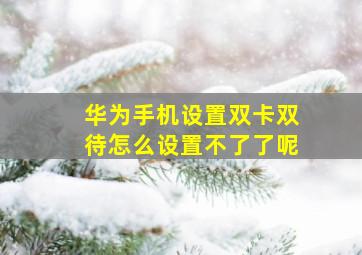 华为手机设置双卡双待怎么设置不了了呢