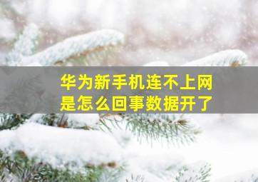 华为新手机连不上网是怎么回事数据开了