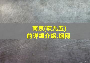 南京(软九五)的详细介绍.烟网