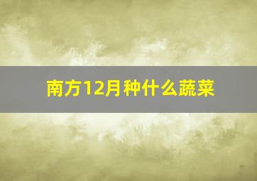 南方12月种什么蔬菜