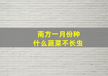 南方一月份种什么蔬菜不长虫