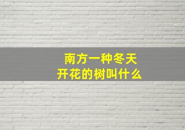 南方一种冬天开花的树叫什么