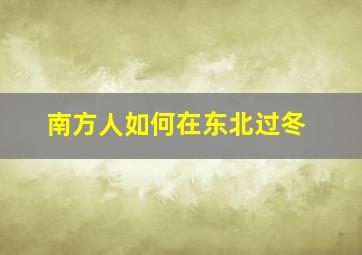 南方人如何在东北过冬