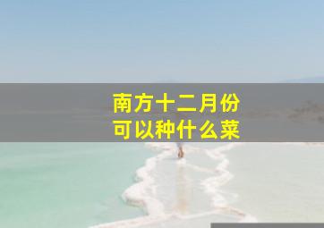 南方十二月份可以种什么菜