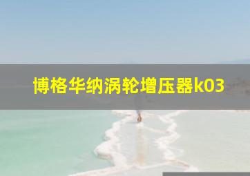 博格华纳涡轮增压器k03