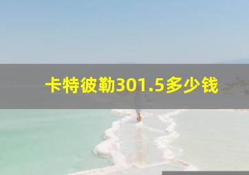 卡特彼勒301.5多少钱