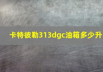 卡特彼勒313dgc油箱多少升