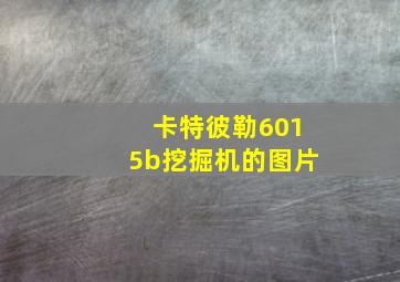 卡特彼勒6015b挖掘机的图片