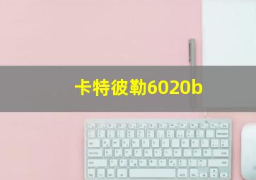 卡特彼勒6020b