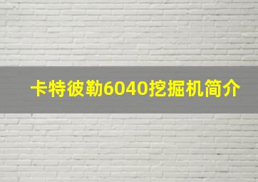 卡特彼勒6040挖掘机简介