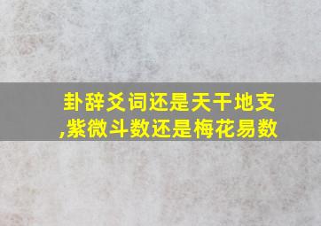 卦辞爻词还是天干地支,紫微斗数还是梅花易数