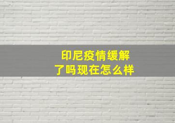 印尼疫情缓解了吗现在怎么样