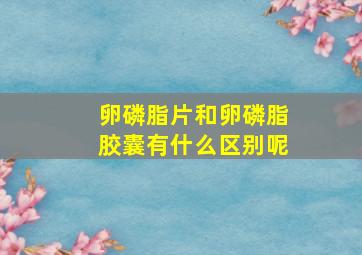 卵磷脂片和卵磷脂胶囊有什么区别呢