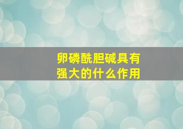 卵磷酰胆碱具有强大的什么作用