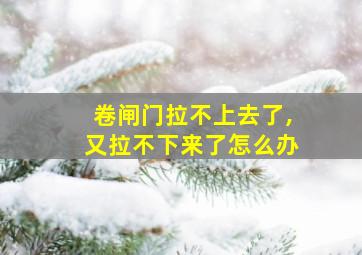 卷闸门拉不上去了,又拉不下来了怎么办