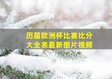 历届欧洲杯比赛比分大全表最新图片视频