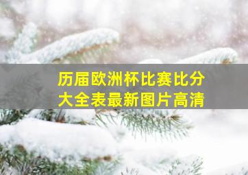 历届欧洲杯比赛比分大全表最新图片高清