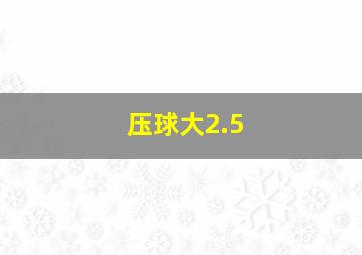 压球大2.5