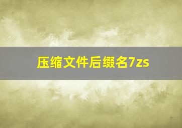 压缩文件后缀名7zs