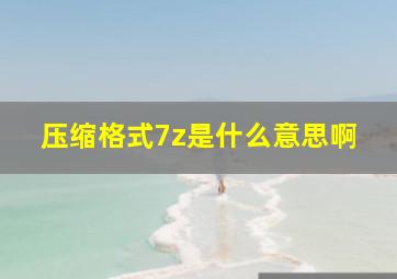 压缩格式7z是什么意思啊