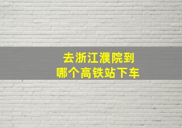 去浙江濮院到哪个高铁站下车