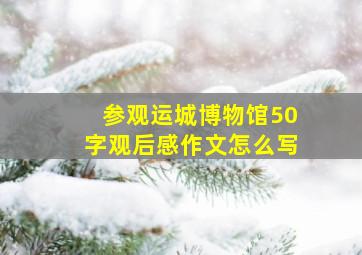 参观运城博物馆50字观后感作文怎么写