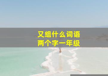 又组什么词语两个字一年级