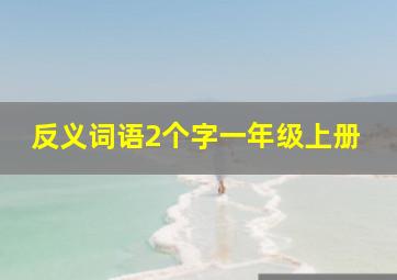 反义词语2个字一年级上册