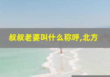 叔叔老婆叫什么称呼,北方