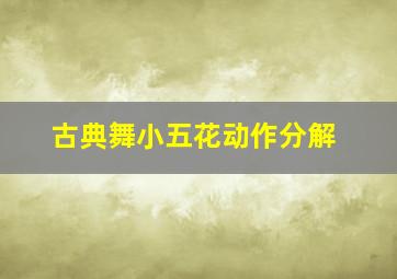 古典舞小五花动作分解