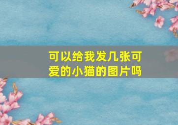 可以给我发几张可爱的小猫的图片吗