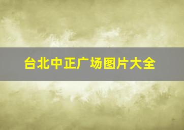 台北中正广场图片大全