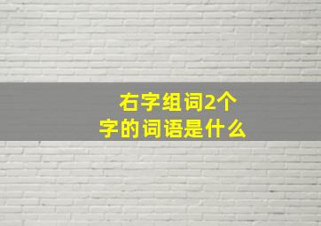 右字组词2个字的词语是什么