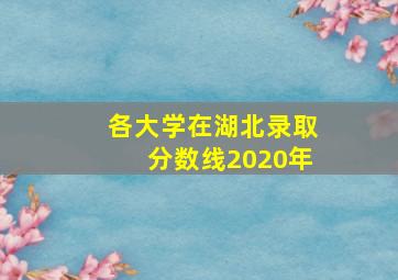 各大学在湖北录取分数线2020年