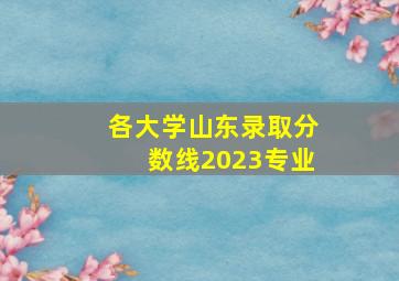 各大学山东录取分数线2023专业