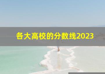 各大高校的分数线2023