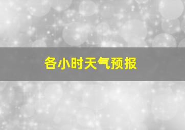 各小时天气预报