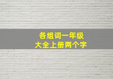 各组词一年级大全上册两个字