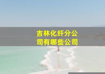 吉林化纤分公司有哪些公司