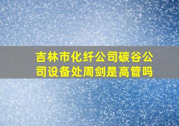 吉林市化纤公司碳谷公司设备处周剑是高管吗