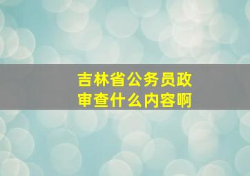 吉林省公务员政审查什么内容啊