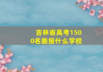 吉林省高考1500名能报什么学校