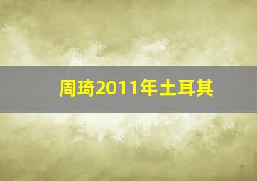 周琦2011年土耳其