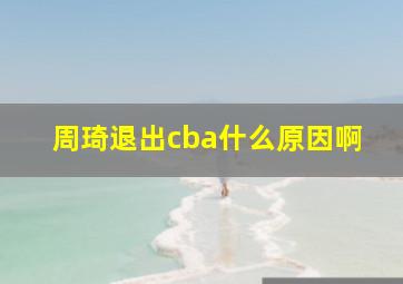 周琦退出cba什么原因啊