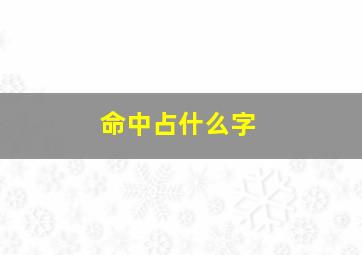 命中占什么字