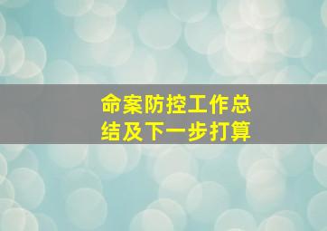 命案防控工作总结及下一步打算