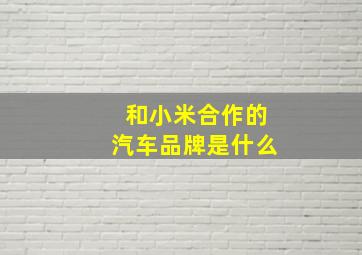 和小米合作的汽车品牌是什么