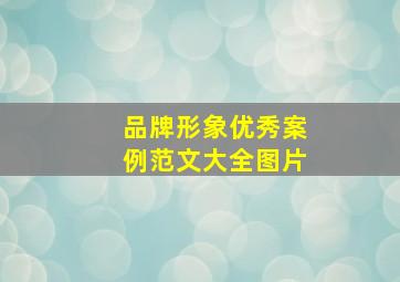 品牌形象优秀案例范文大全图片