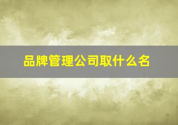 品牌管理公司取什么名