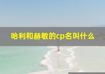 哈利和赫敏的cp名叫什么